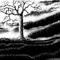 landscape by zyaksoz