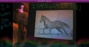 my-1st-place-horsey