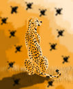 cheetah-life