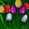 tulips by sketchpad