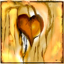 heart-for-you