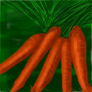 carrots