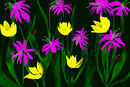 garden garden
