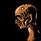 dsg by Raz