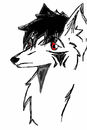 my-first-wolf