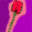 rosepng rosepng
