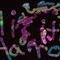 rainbow--background by mrx500
