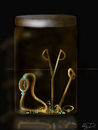 in-the-jar