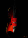 violin violin