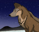 awaiting-the-snow