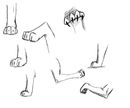 paw-practicejpg