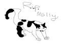 rip-molly rip-molly