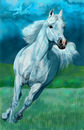 horse-and--storm horse-and--storm