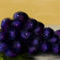 grapes by sketchpad