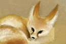 fennec