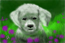 good-doggie