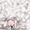 rose by Mackymoo