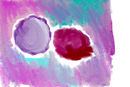 untitled-1
