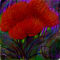 phantasy-red-flowers by ploiesteana