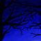 dusky-trees by incendium89