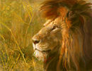 lion-sketch