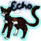 echo by shinesoul