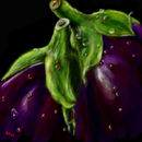 two-aubergines
