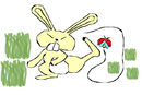 rabbit