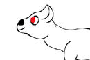 unknown-animal