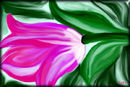 one-flower