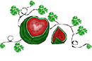 watermelon