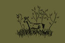 a-roe-deer