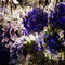 may-day by gabyconstanza