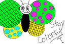 stay-colorful stay-colorful