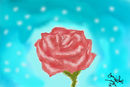simply-rosey
