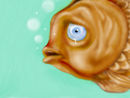 shark-in-sight-