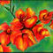 gladiolus by ploiesteana