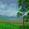 nature by sketchpad