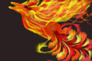 pheonix