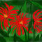 flowers by sketchpad