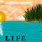 life by happiness6