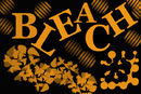 bleach