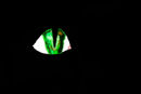 eye-of-the-dragon eye-of-the-dragon