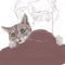 cat by pppman