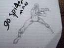 spider-man spider-man
