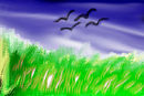 returning-birds