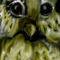 owl by kindre
