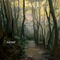 slow-steps by pppman