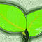 leaves by NiyatiSingh