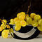 yellow-grapes by kutedymples